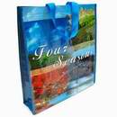 PP Woven bags with custom artwork for Shopping